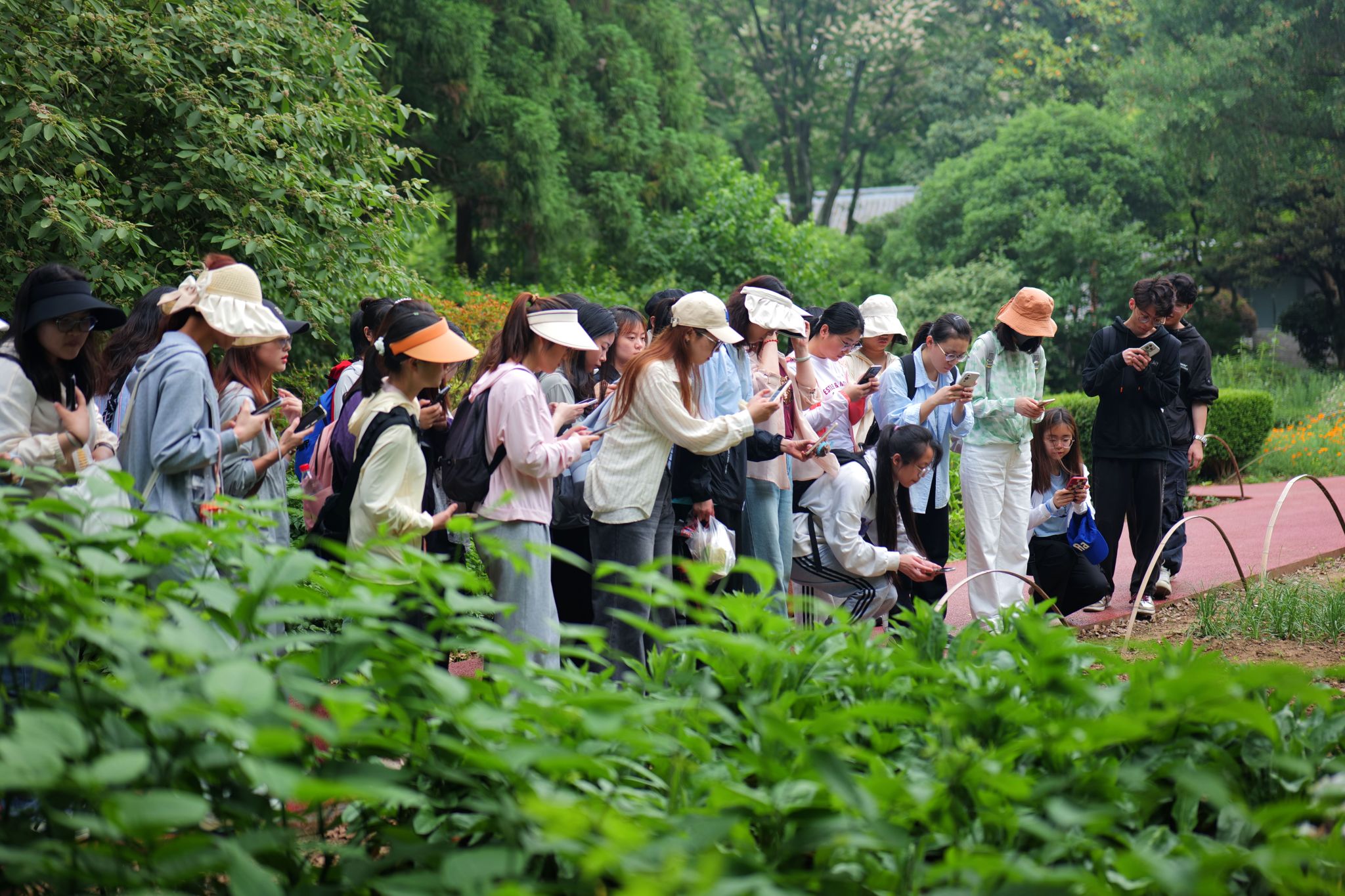 行走的思政课堂：走进南京中山植物园